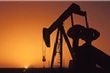 Giá dầu WTI vượt 52 USD/thùng nhờ dự báo lưu trữ giảm mạnh